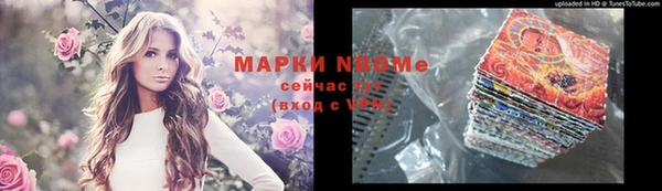 ПСИЛОЦИБИНОВЫЕ ГРИБЫ Арсеньев