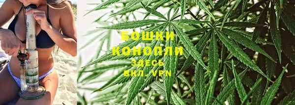 не бодяженный Аркадак