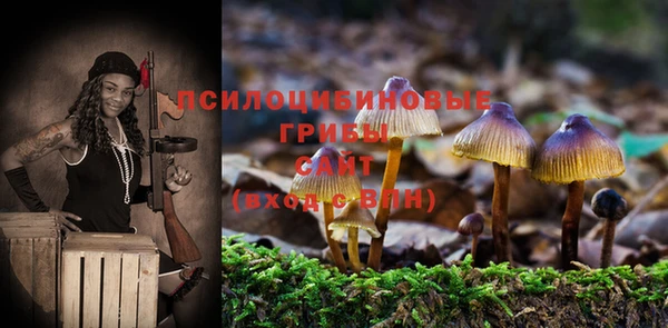 каннабис Приозерск
