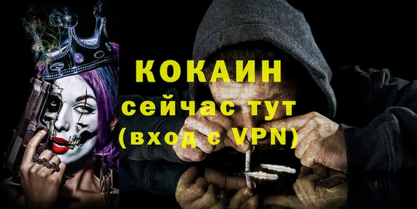 ПСИЛОЦИБИНОВЫЕ ГРИБЫ Арсеньев
