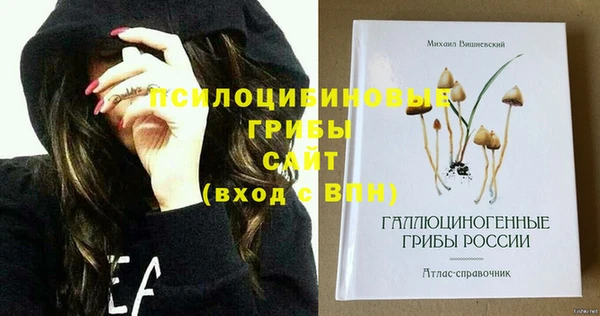 ПСИЛОЦИБИНОВЫЕ ГРИБЫ Арсеньев